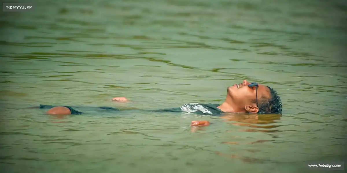 行业领先的理由